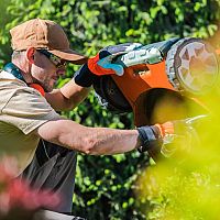 Najlepšie bubnové kosačky. Recenzie chvália Vari a Hecht