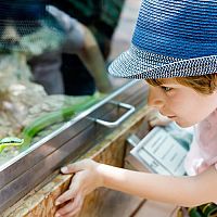 Zariadenie terária pre hada je lacné – chov hada pre začiatočníkov