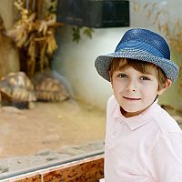 Ako zariadiť terárium pre suchozemskú korytnačku?