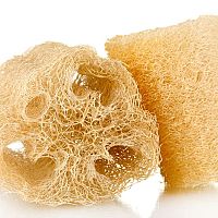 Prírodná špongia lufa nielen na riad. Kúpte si semená, pestovanie je jednoduché