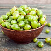 Egreše: pestovanie, ako a kedy sadiť, ako a kedy strihať, choroby, rozmnožovanie