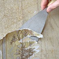 Ako odstrániť tapety a lepidlo po tapetách zo sakrokartónu aj panelu