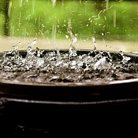 Nádrže na dažďovú vodu vám ušetria peniaze. Zachytávač môže byť aj sud