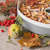 Aká je najlepšia sušička ovocia na trhu? Recenzie chvália Klarstein, obľúbené sú ETA aj Sencor