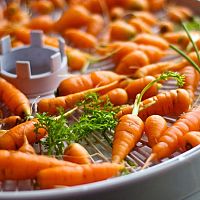 Ako sušiť huby, ovocie a zeleninu