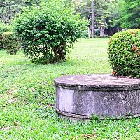 Baktérie do žumpy – všetko, čo potrebujete vedieť