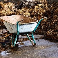 Ako hnojiť na jeseň záhradu a trávnik