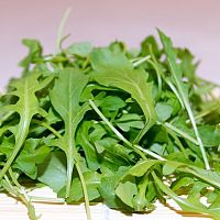 Ako pestovať rukolu a kedy ju zbierať