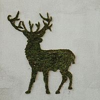 Machové grafity na stenu