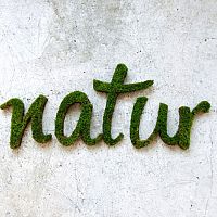 Nápis z machu – machové grafity