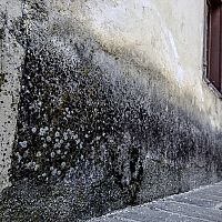 Krémová chemická injektáž muriva svojpomocne? Vyskúšajte Aqua Stop Cream