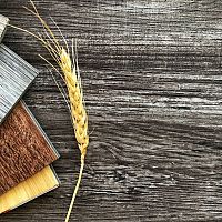 Ekologické organické vinylové podlahy bez PVC