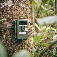 Najpredávanejšia fotopasca s WiFi, na sim kartu s GSM? Na zlodejov aj zver