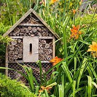 Ako vyrobiť hotel pre hmyz, včely a mravce