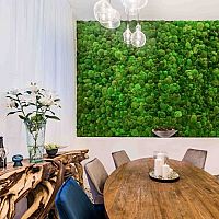 Machové steny sú in! Poznáte najväčšie výhody stabilizovaného machu v interiéri?