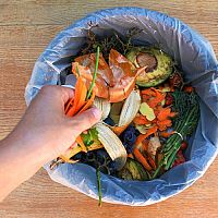 Odpadkové koše do kuchyne, detskej izby alebo záhrady. Ako vybrať ten najlepší?