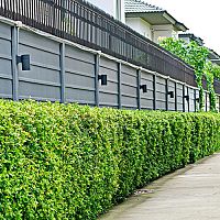 Najlacnejšie betónové ploty z Poľska nie sú kvalitné. Rozpadnú sa za pár rokov