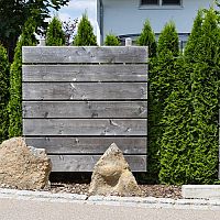 Živý plot z tují, hraba, smreka alebo muchovníka. Ktoré sú vhodné rastliny?