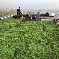 Juraj Pekár: Zelená strecha robí majiteľovi radosť pri každom pohľade