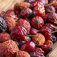 Ako sušiť šípky? Sušenie v rúre, na vzduchu aj v sušičke potravín