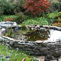 Ako navrhnúť a zrealizovať záhradné jazierko svojpomocne?