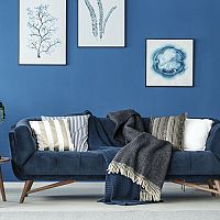 Farba roka 2020 a ako ju využiť v interiéri