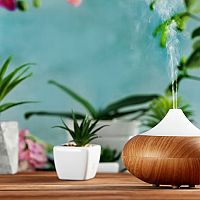 Čistenie čajového, ventilátorového, ultrazvukového difúzera