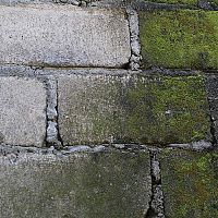 Ako odstrániť mach z betónu a zámkovej dlažby? Pomôže postrek Machožrút