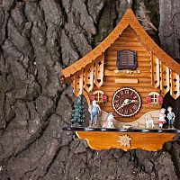 Kukučkové hodiny majú stále svoje čaro. Poradíme, ako si ich vybrať