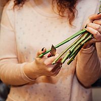 Starostlivosť o rezané kvety, kvety vo váze. Ako postupovať?