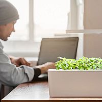 Inteligentné kvetináče na bylinky: Smart Garden, Lua, Click and Grow