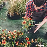 Vhodné oblečenie do záhrady – gumené čižmy, montérky, rukavice či klobúk