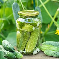 Ako zavárať uhorky v rúre, umývačke a zaváracom hrnci + recept na uhorkové želé a lupienky