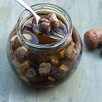 Čo s nazbieranými hubami? Sušené (v rúre, na slnku, v sušičke), mrazené, varené huby + recepty