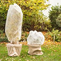 Návod, ako zazimovať kvetináče – ako ochrániť záhradné i balkónové rastliny pred mrazom