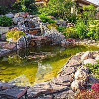 Odstránenie rias v jazierku: vhodné rastliny, ryby, jačmenná slama, prípravky proti riasám