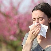 Záhrada pre alergikov – rastliny, okrasné trávy, kvety, stromy pre alergikov