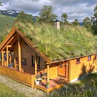 Zelená strecha svojpomocne – skladba/vrstvy, postup, cena