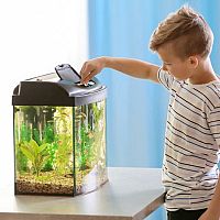 Krmivo pre ryby v akváriu – najlepšie mrazené, granulované a domáce krmivo pre rybičky