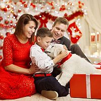 Pes ako vianočný darček – je to naozaj dobrý nápad?